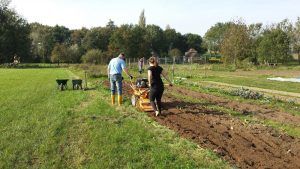 tuinderij de spoolderberg zelf oogsten zwolle