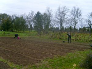 tuinderij de spoolderberg zelf oogsten zwolle